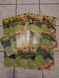 Lotto riviste insetti