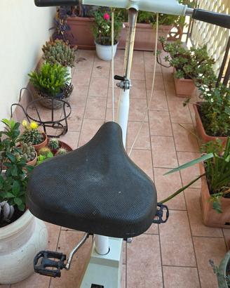 bicicletta da camera