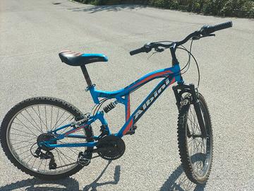 bicicletta 