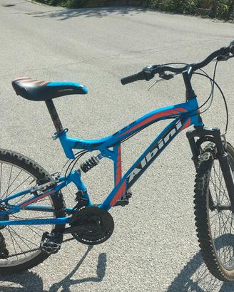 bicicletta 