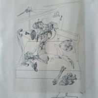 litografia di Salvador Dalì autografata 
