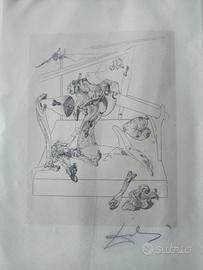 litografia di Salvador Dalì autografata 