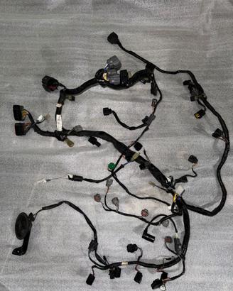 Cablaggio completo Kawasaki Ninja 636 2005/2006