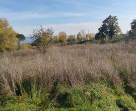 Terreno agricolo