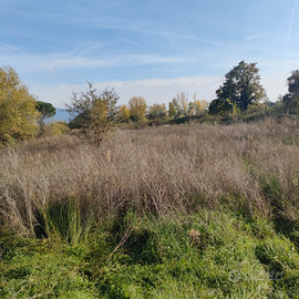 Terreno agricolo