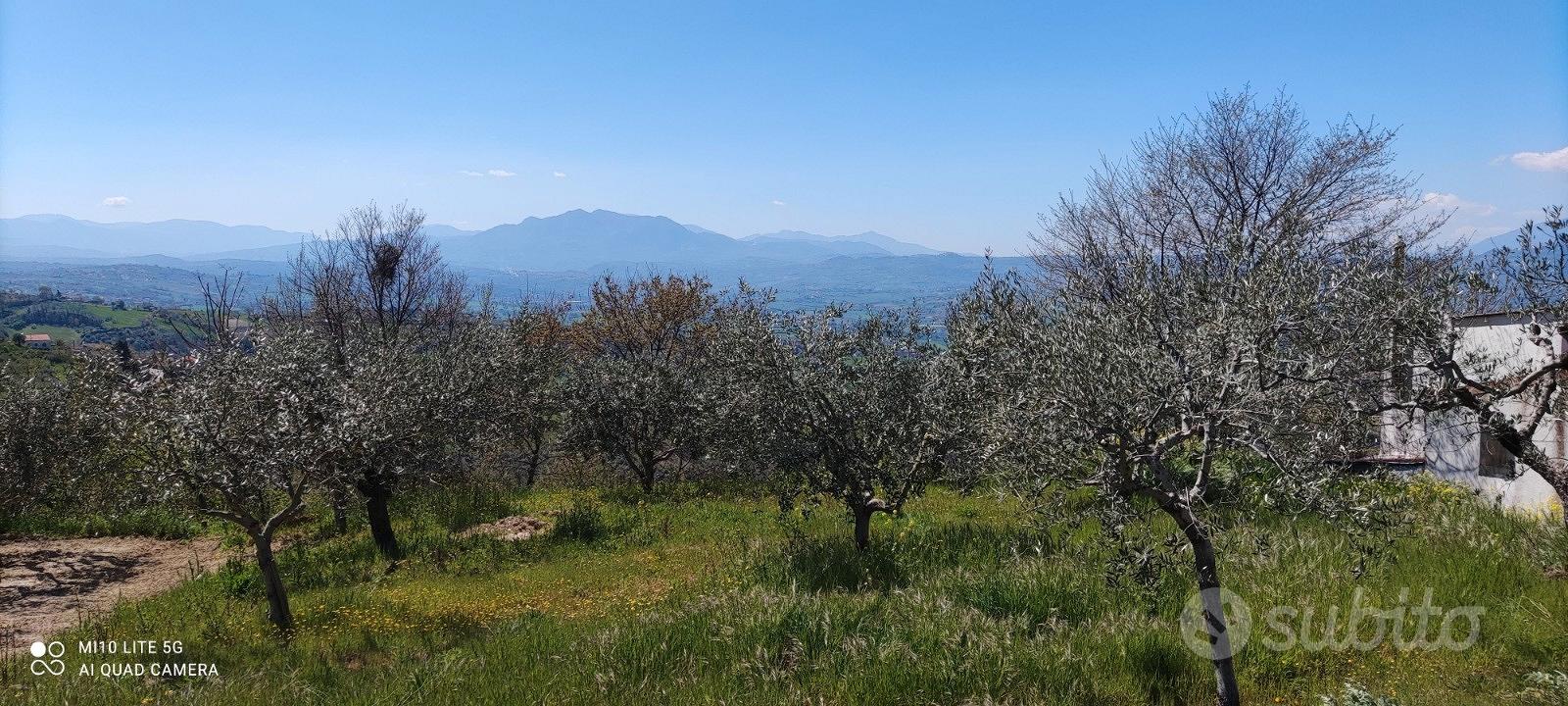 Piccolo rustico in collina - Vista 5