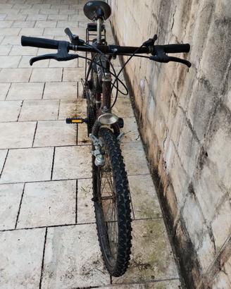Mountain bike