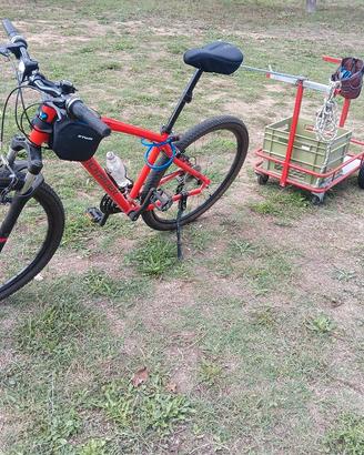 bici con carrello