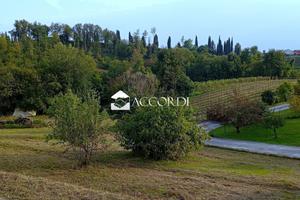 Lotto di terreno a Conegliano in zona collinare c