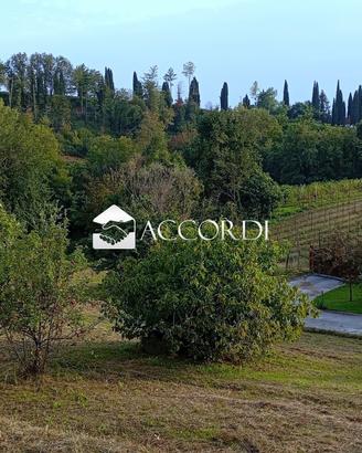 Lotto di terreno a Conegliano in zona collinare c