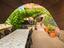 Immagine 26