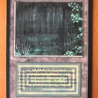 Bayou ITALIANO BN MTG Magic Terra doppia Dual land