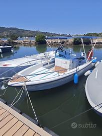 Fiart Brezza 17