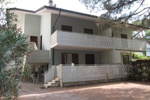 Appartamento Margherita 4 - Grado Pineta