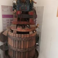 pressa idraulica per uva