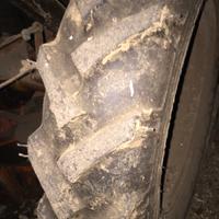 motoagricola pasquali 