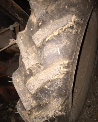 motoagricola pasquali 