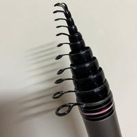 Canna pesca 9 mt bolognese