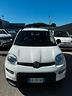 fiat-panda-1-0-firefly-s-s-hybrid-sport