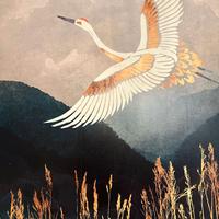 Quadro fotomurale 120x120 cm