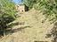 Immagine 12