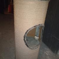 Tiragraffi AnyOne - wild variety