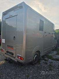  camion trasporto cavalli patente b