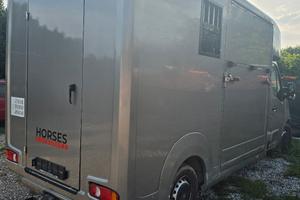 camion trasporto cavalli patente b