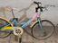 Immagine 2