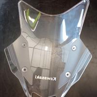 Cupolino  Kawasaki Versys 650