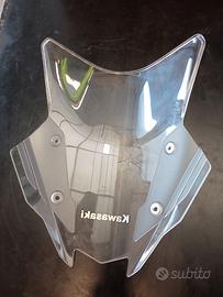Cupolino  Kawasaki Versys 650