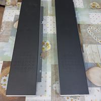 Autoparlanti laterali tv 42 samsumg mod.ps-42d4s