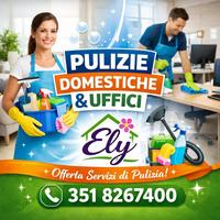 Pulizie domestiche