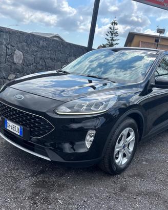 Ford Kuga 1.5 EcoBlue 120 CV 2WD Titanium