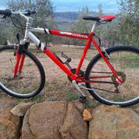Mountain bike in buone condizioni