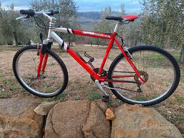 Mountain bike in buone condizioni