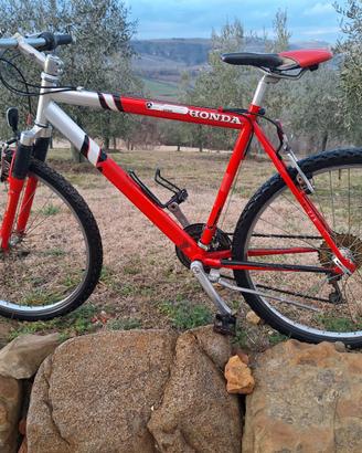 Mountain bike in buone condizioni