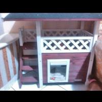 ciccia per cani di piccola taglia 