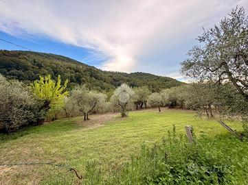 TER. AGRICOLO A BAGNO A RIPOLI