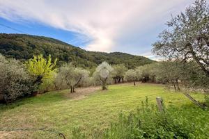 TER. AGRICOLO A BAGNO A RIPOLI