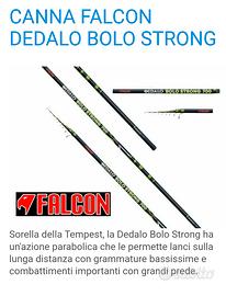 Canna bolognese Falcon dedalo