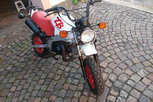 HONDA ZB50 MONKEY