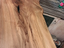 Immagine 14