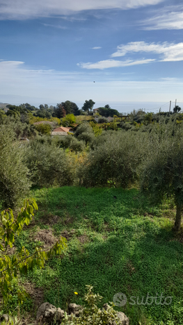 Terreno con casa