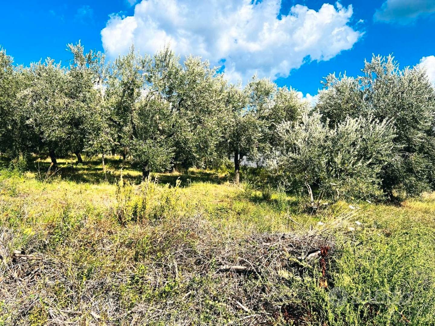 Poli: terreno pianeggiante adiacente centro - Vista 3