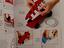 Immagine 3