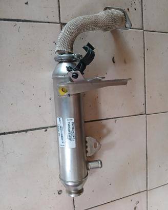 radiatore gas egr