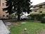 Immagine 8