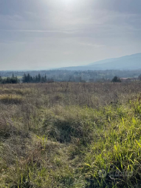 Castrovillari Terreno agricolo zona Pietà