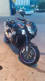 Aprilia Tuono 1000 Daytona 